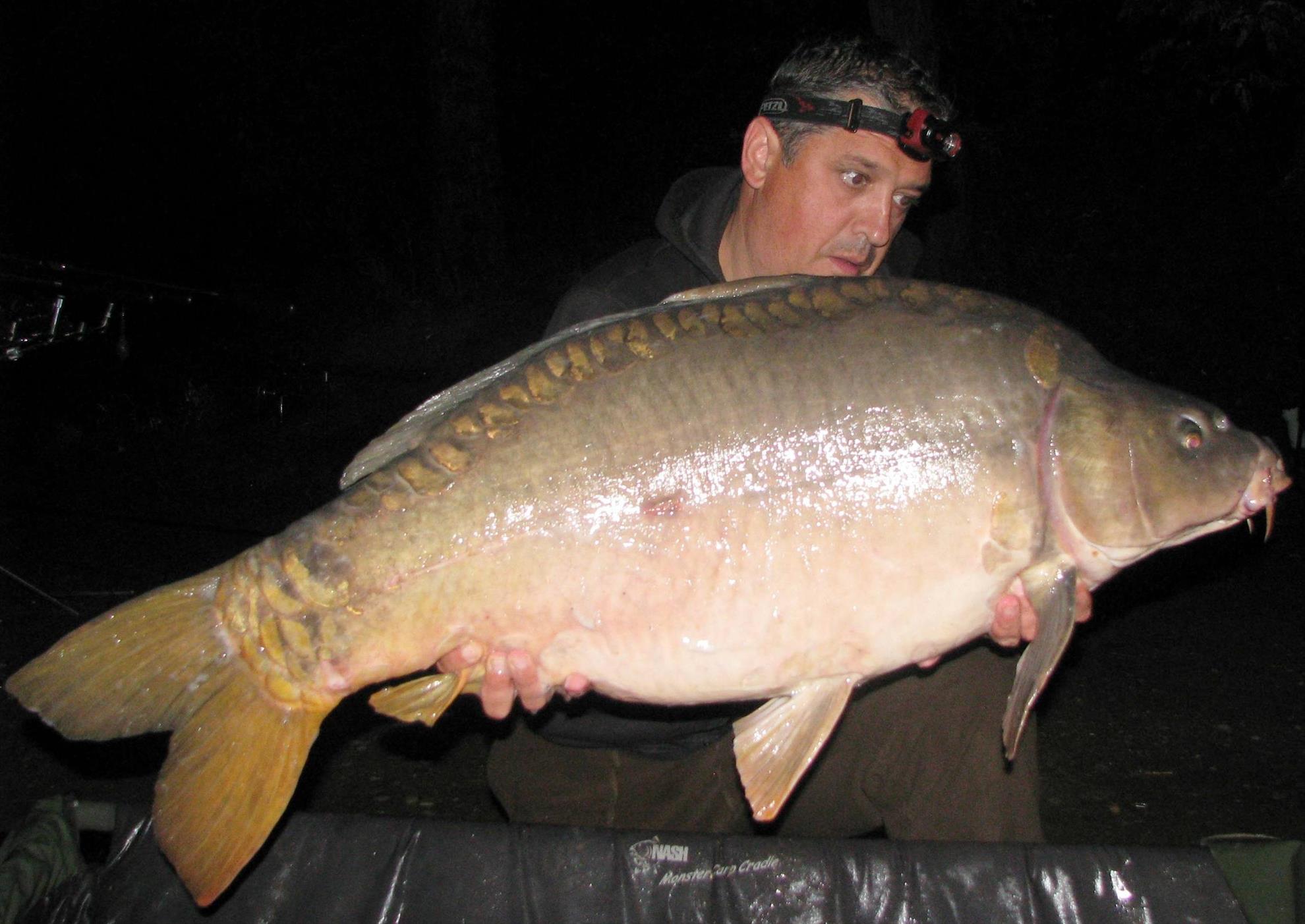 Pelagicevo Jezero - final iunie 2015 - img2224.JPG